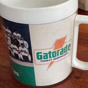 ⚾️ Minnesota Twins 1990 Gatorade Royal Crest Mug  vintage
